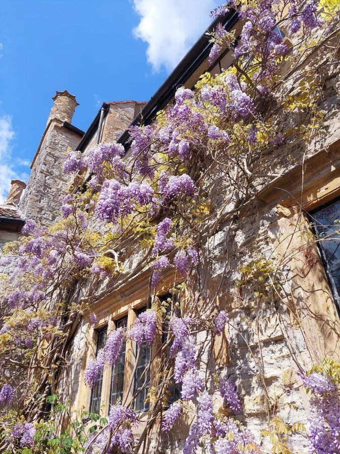 The Manor House, Curry Mallet Taunton Εξωτερικό φωτογραφία