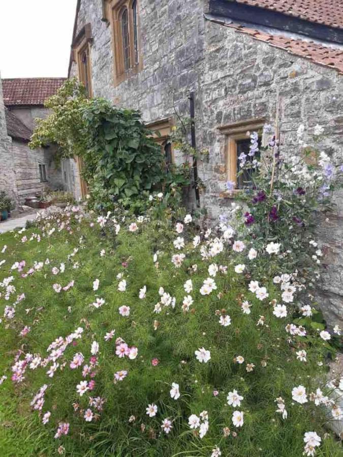 The Manor House, Curry Mallet Taunton Εξωτερικό φωτογραφία